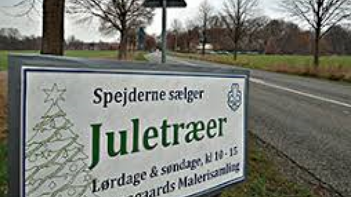 Skilt med Juletræer sælges